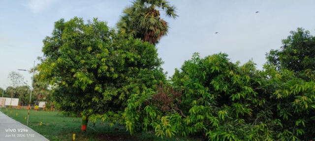 WhatsApp Image 2024-12-25 at 10.06.51 AM (1)